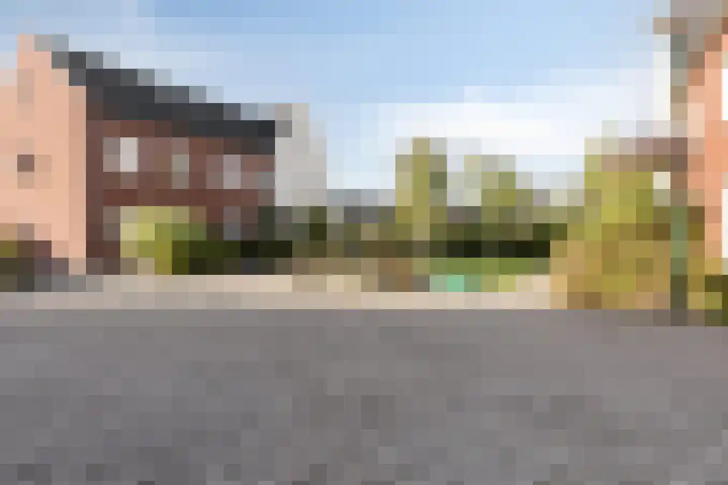 Lion Cachethof 20 Vreeland thumbnail 23
