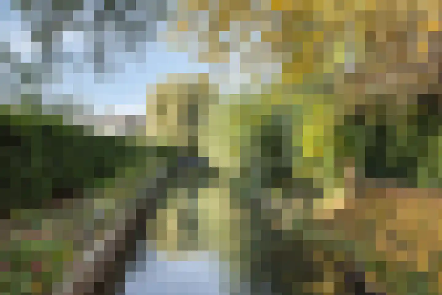 Lion Cachethof 20 Vreeland thumbnail 30