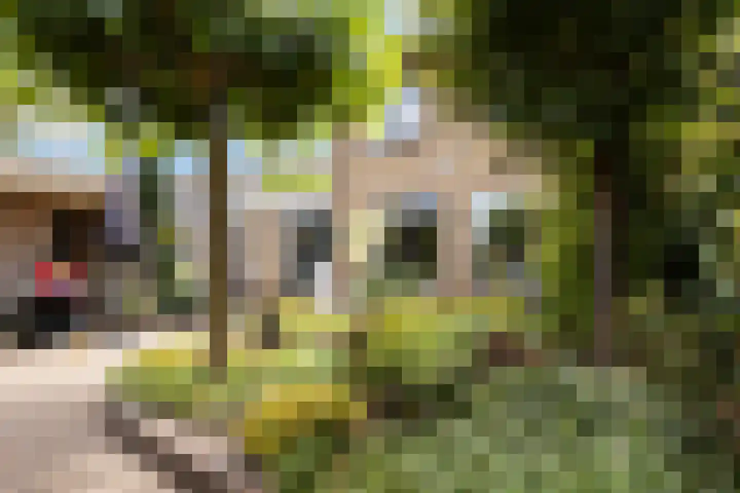 Lion Cachetstraat 64 Ermelo thumbnail 37