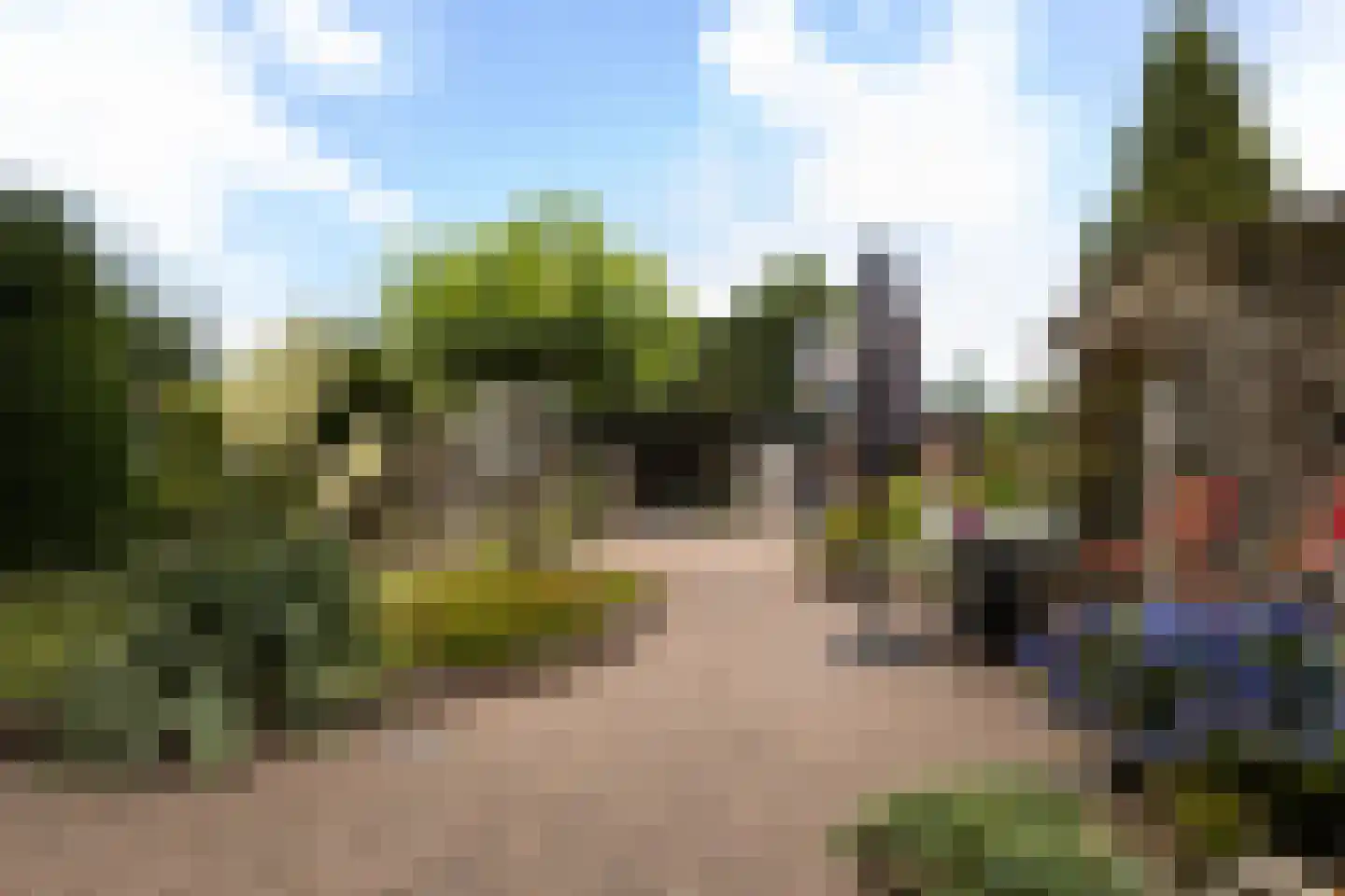 Lion Cachetstraat 64 Ermelo thumbnail 39