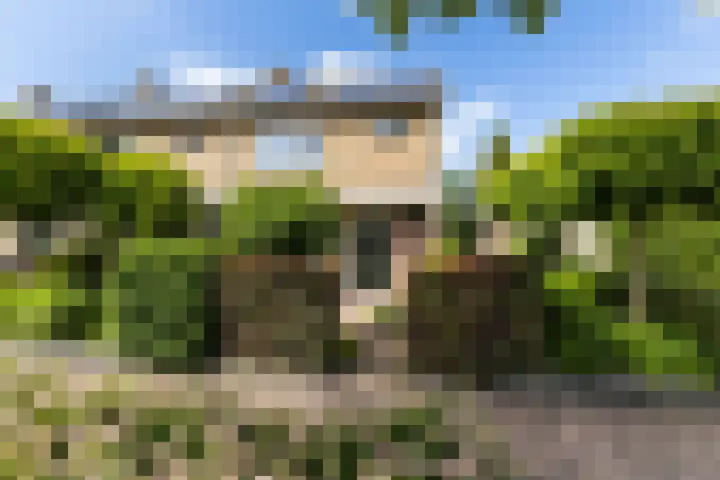Lion Cachetstraat 64 Ermelo thumbnail 4