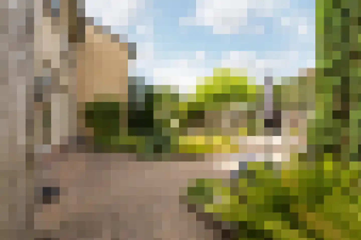 Lion Cachetstraat 64 Ermelo thumbnail 45