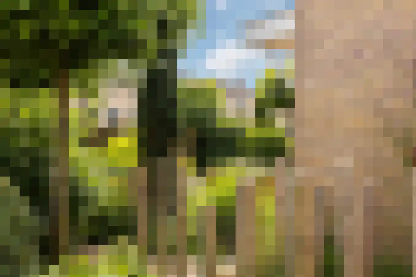 Lion Cachetstraat 64 Ermelo thumbnail 46