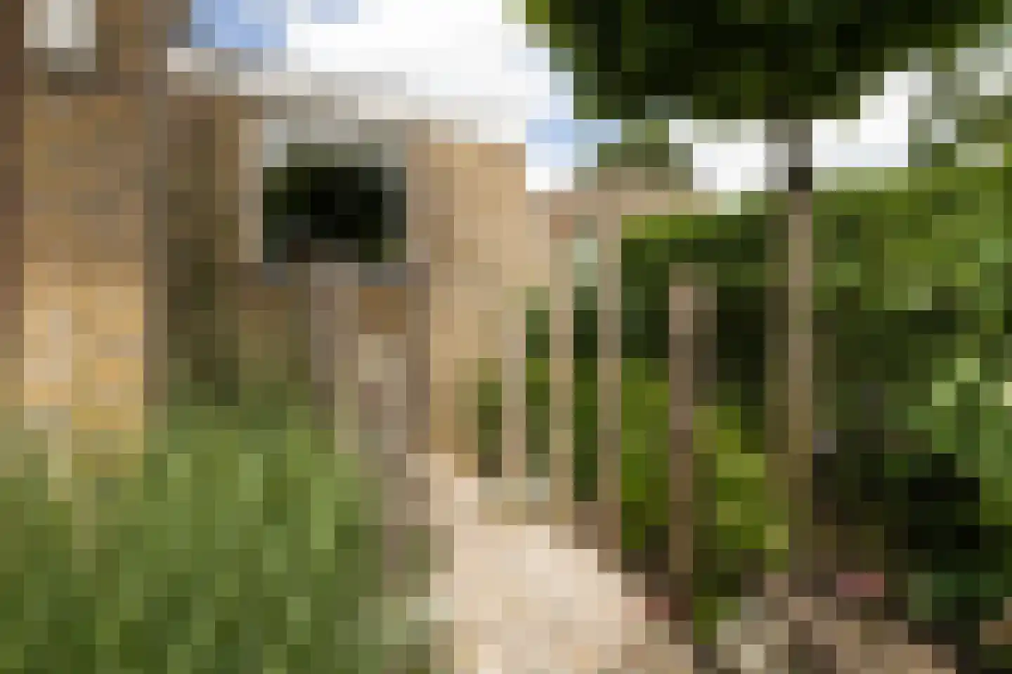 Lion Cachetstraat 64 Ermelo thumbnail 47