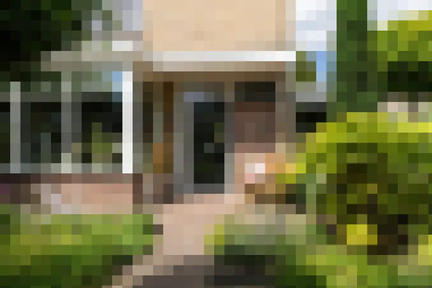 Lion Cachetstraat 64 Ermelo thumbnail 5