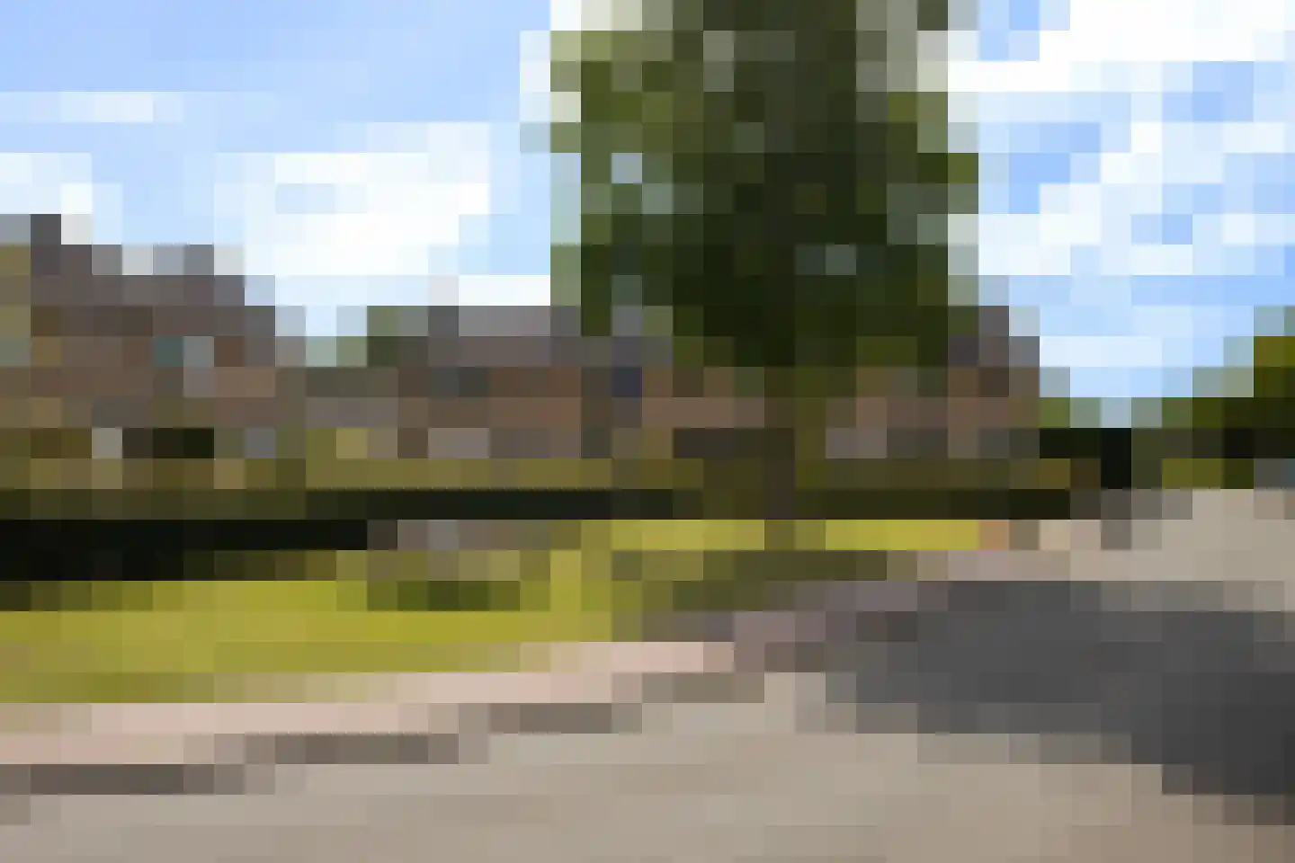 Lion Cachetstraat 64 Ermelo thumbnail 54
