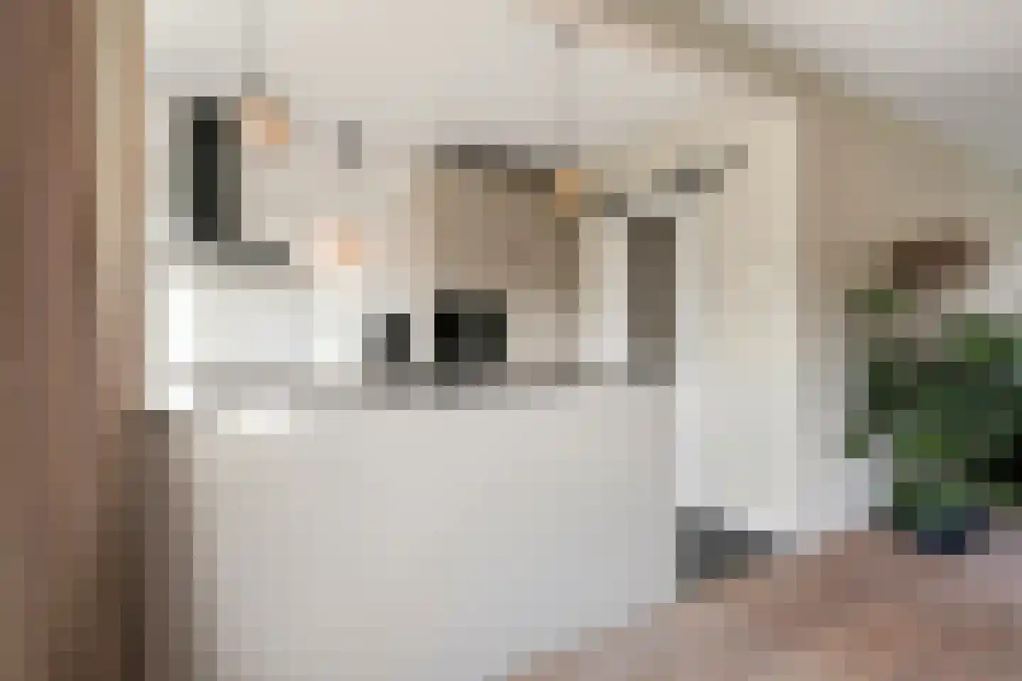 Lion Cachetstraat 9 Ermelo thumbnail 10
