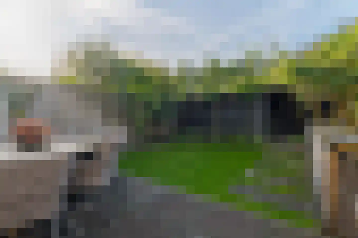 Lion Cachetstraat 9 Ermelo thumbnail 27
