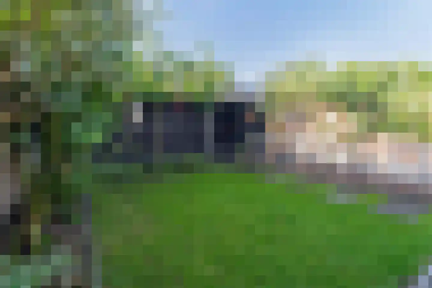 Lion Cachetstraat 9 Ermelo thumbnail 28