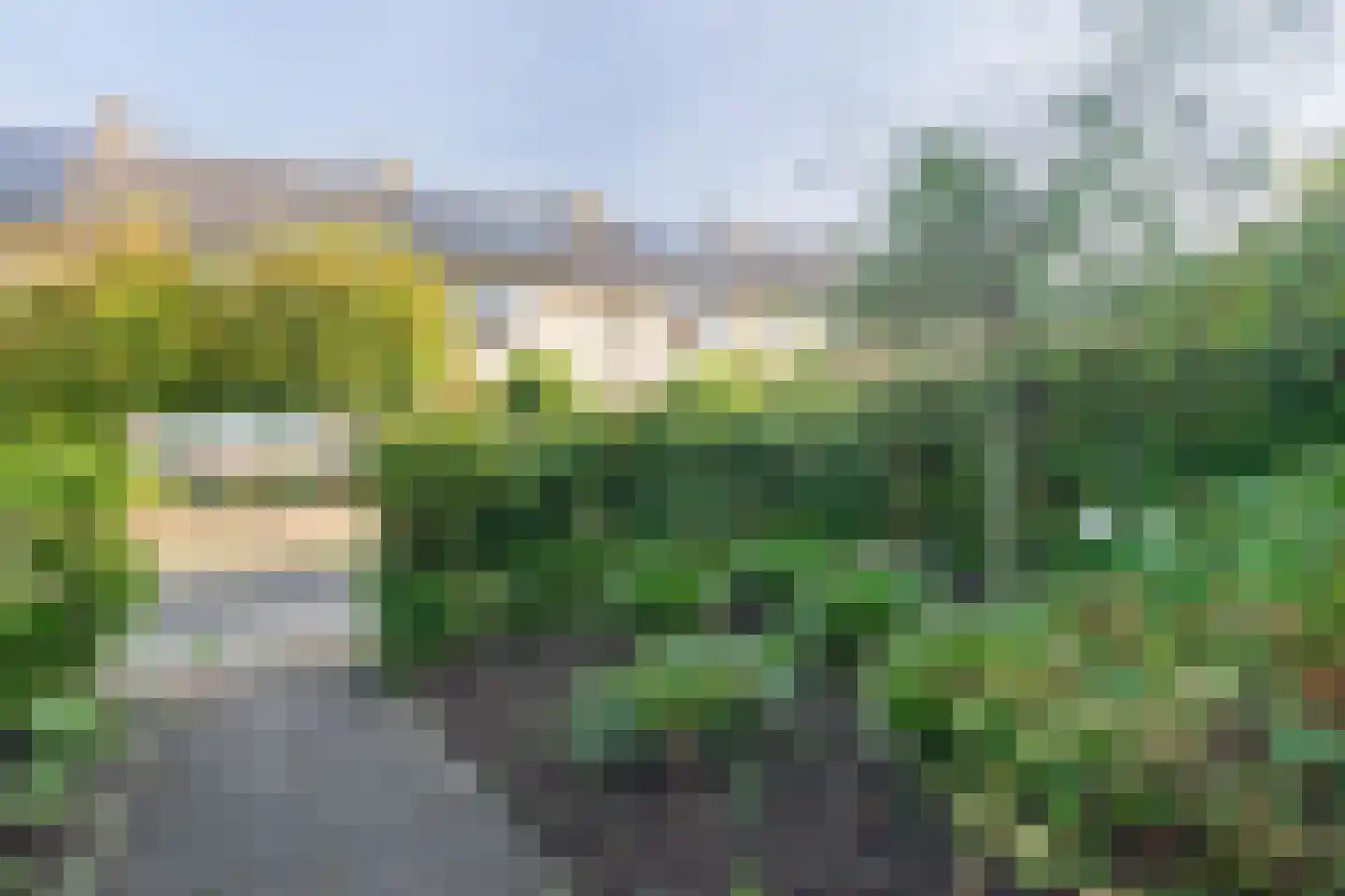 Lion Cachetstraat 9 Ermelo thumbnail 32