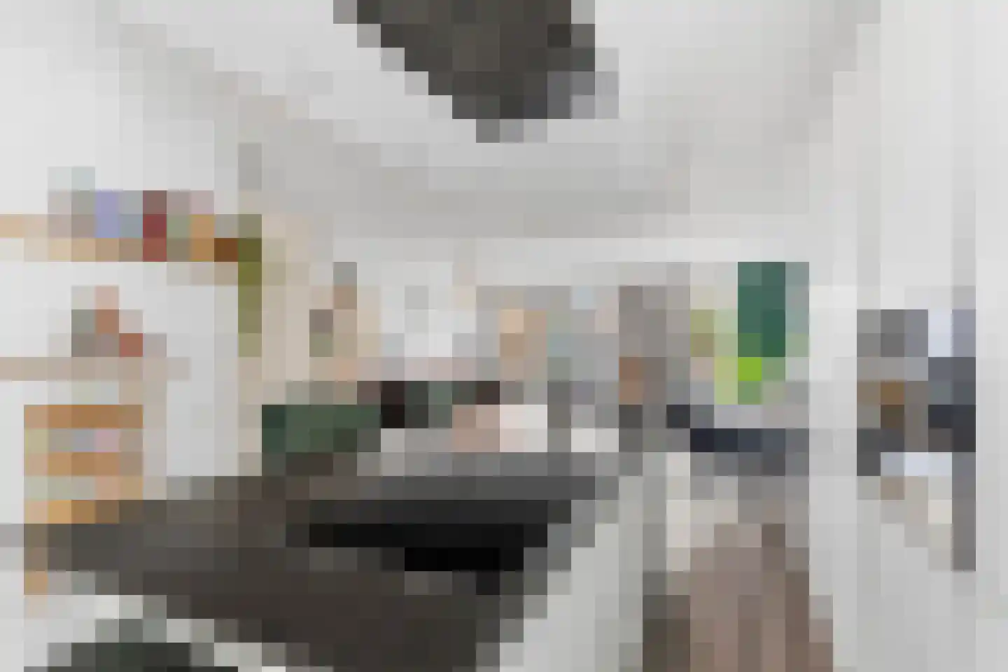 Lionderstuk 7 Westervoort thumbnail 12
