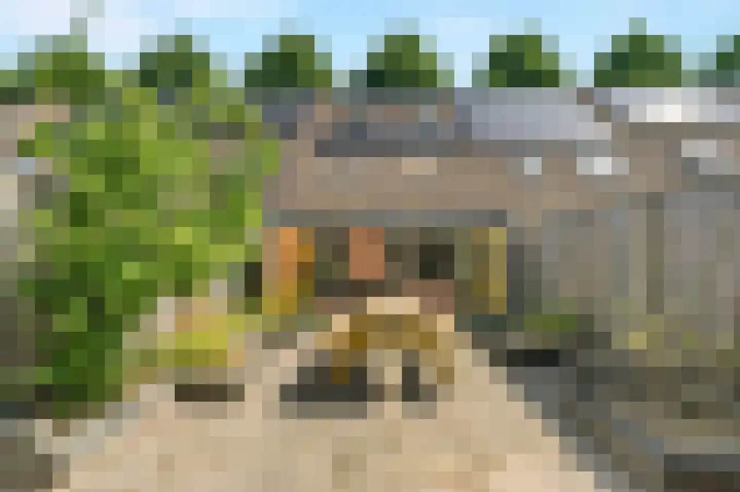 Lionderstuk 7 Westervoort thumbnail 32
