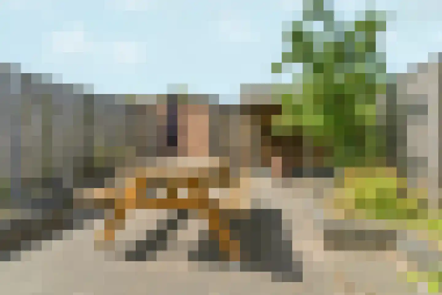 Lionderstuk 7 Westervoort thumbnail 36