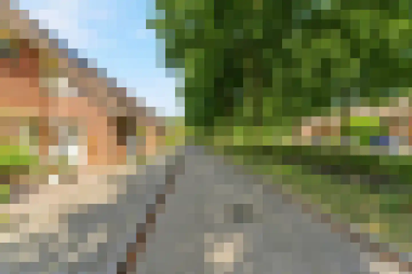 Lionderstuk 7 Westervoort thumbnail 42