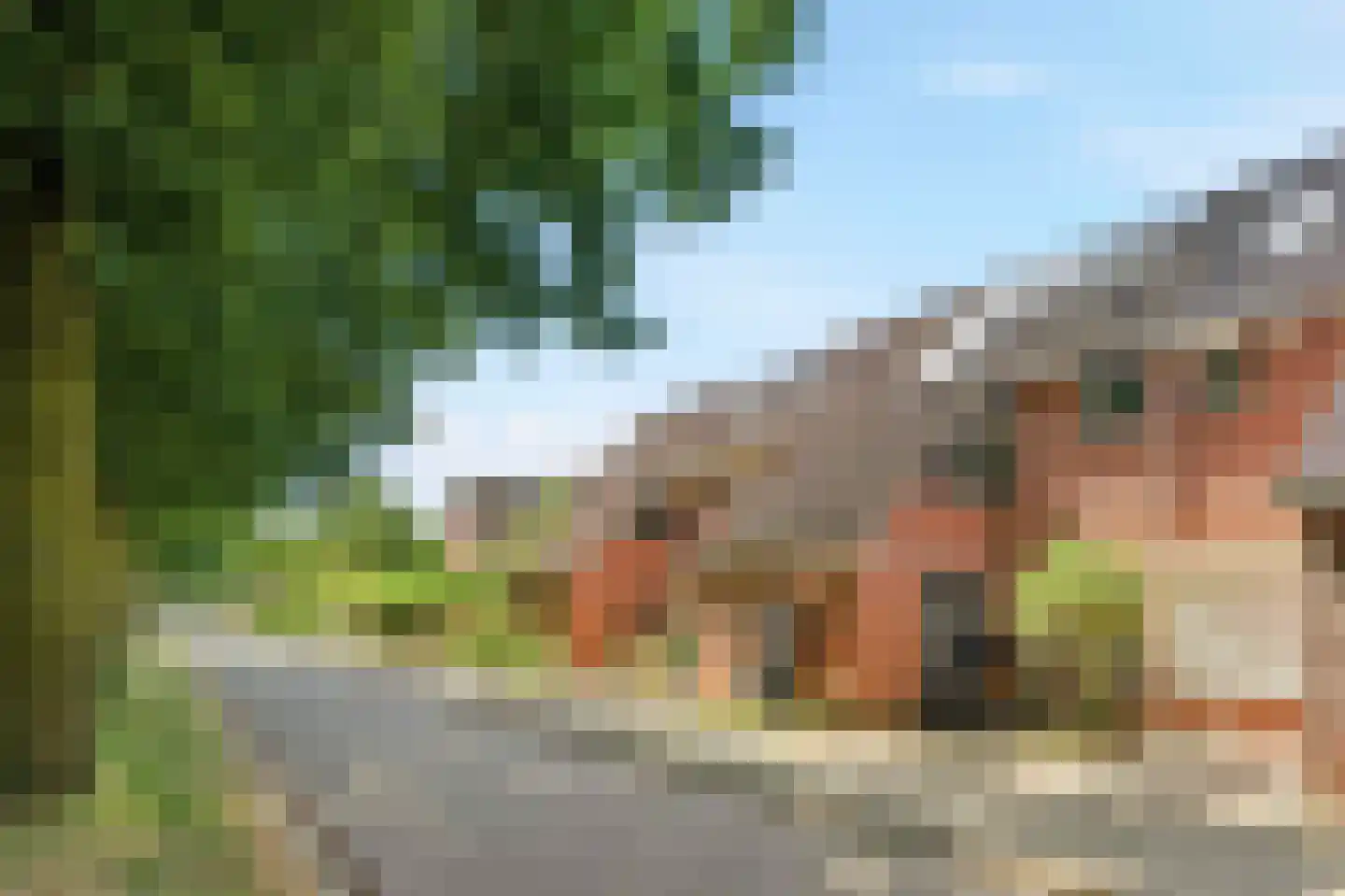 Lionderstuk 7 Westervoort thumbnail 43