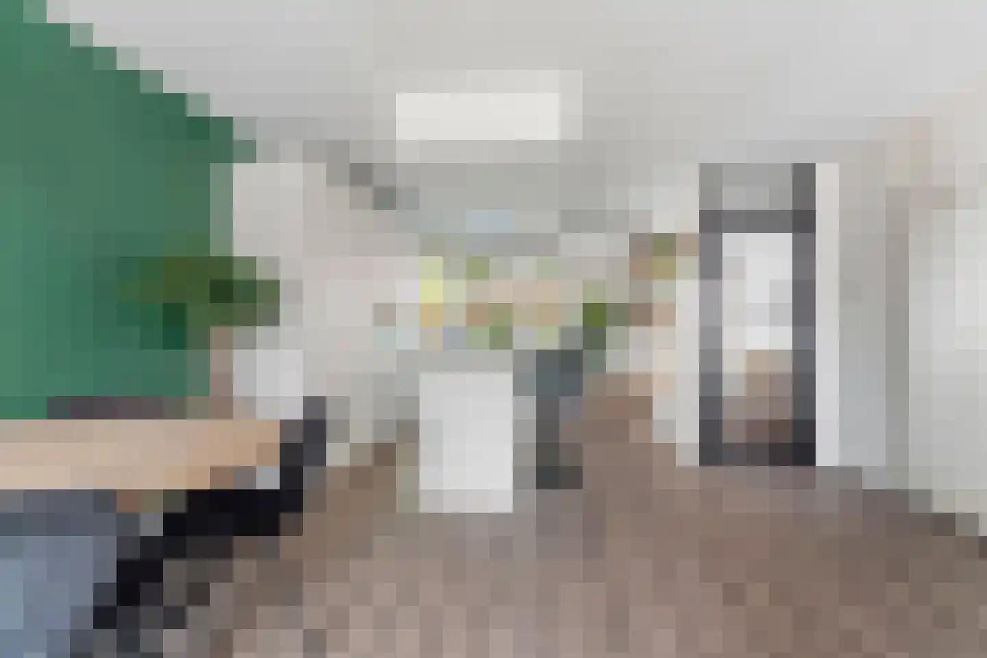 Lionderstuk 7 Westervoort thumbnail 9