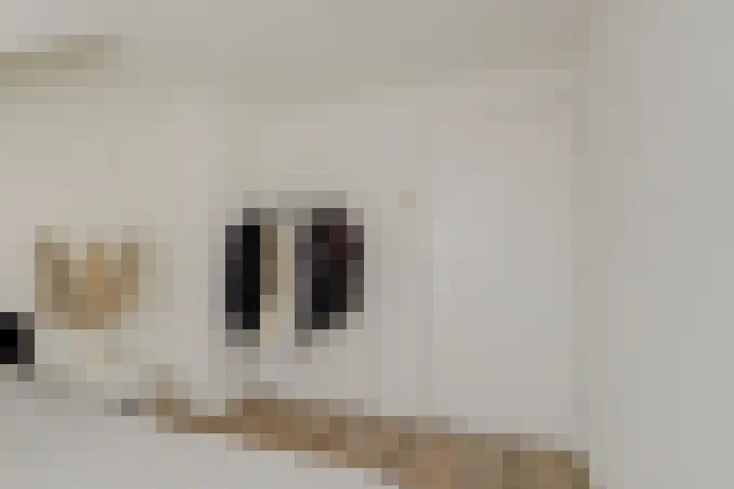 Lionstraat 10 Arnemuiden thumbnail 18