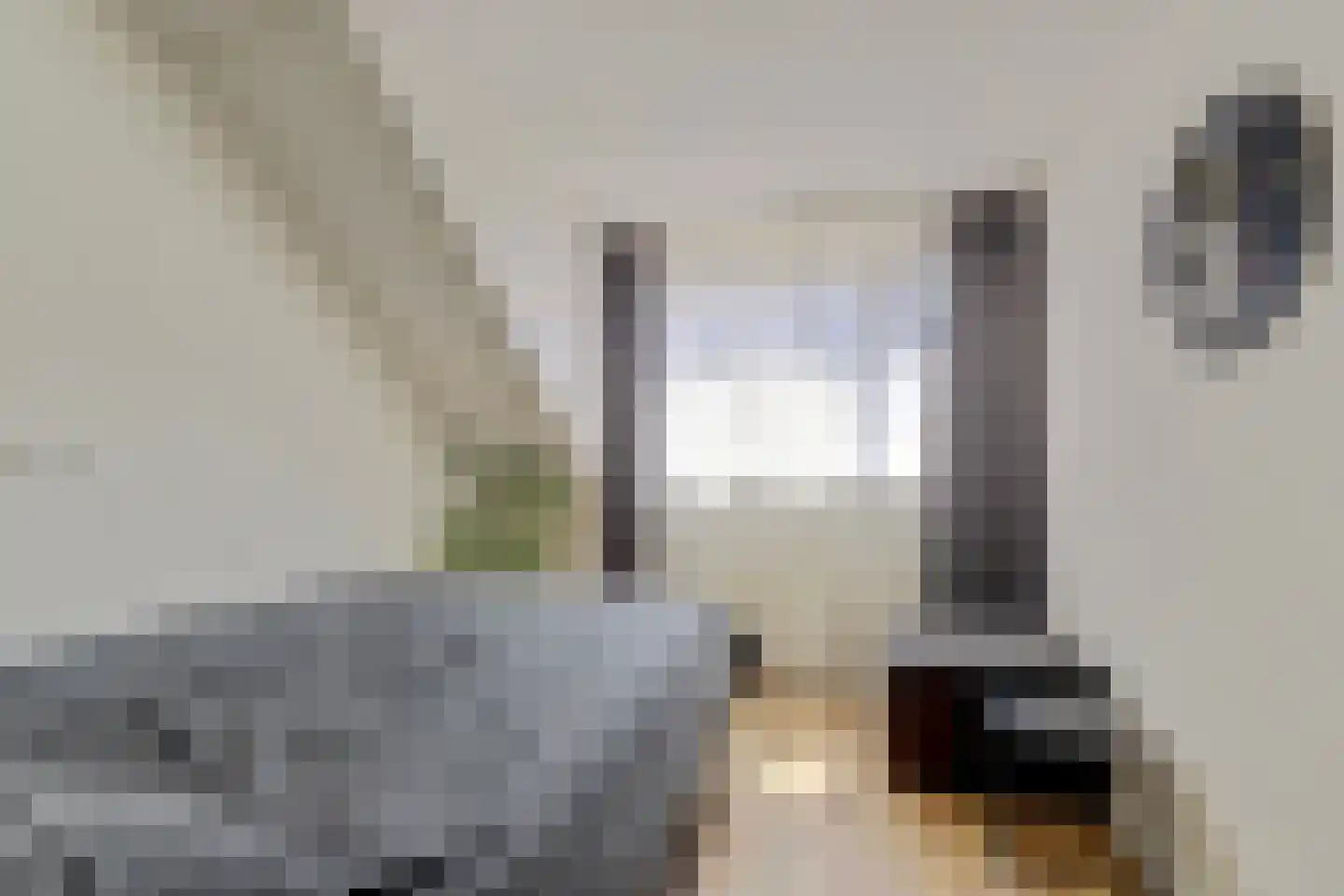 Lionstraat 10 Arnemuiden thumbnail 19