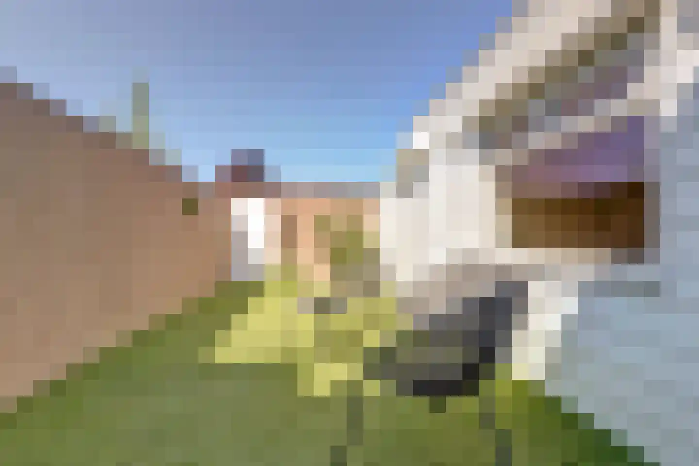 Lionstraat 10 Arnemuiden thumbnail 25