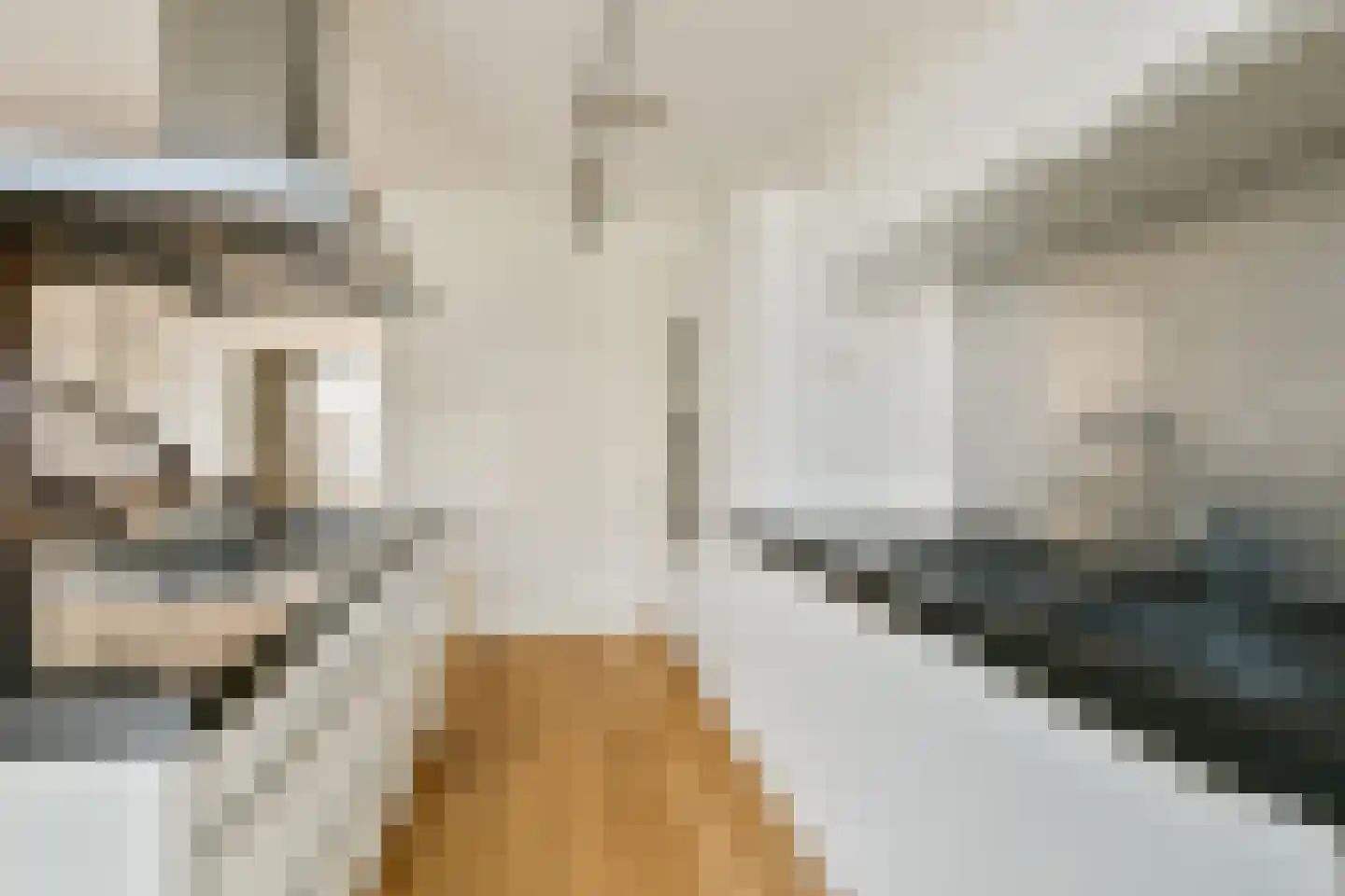 Liparishof 1 Badhoevedorp thumbnail 12