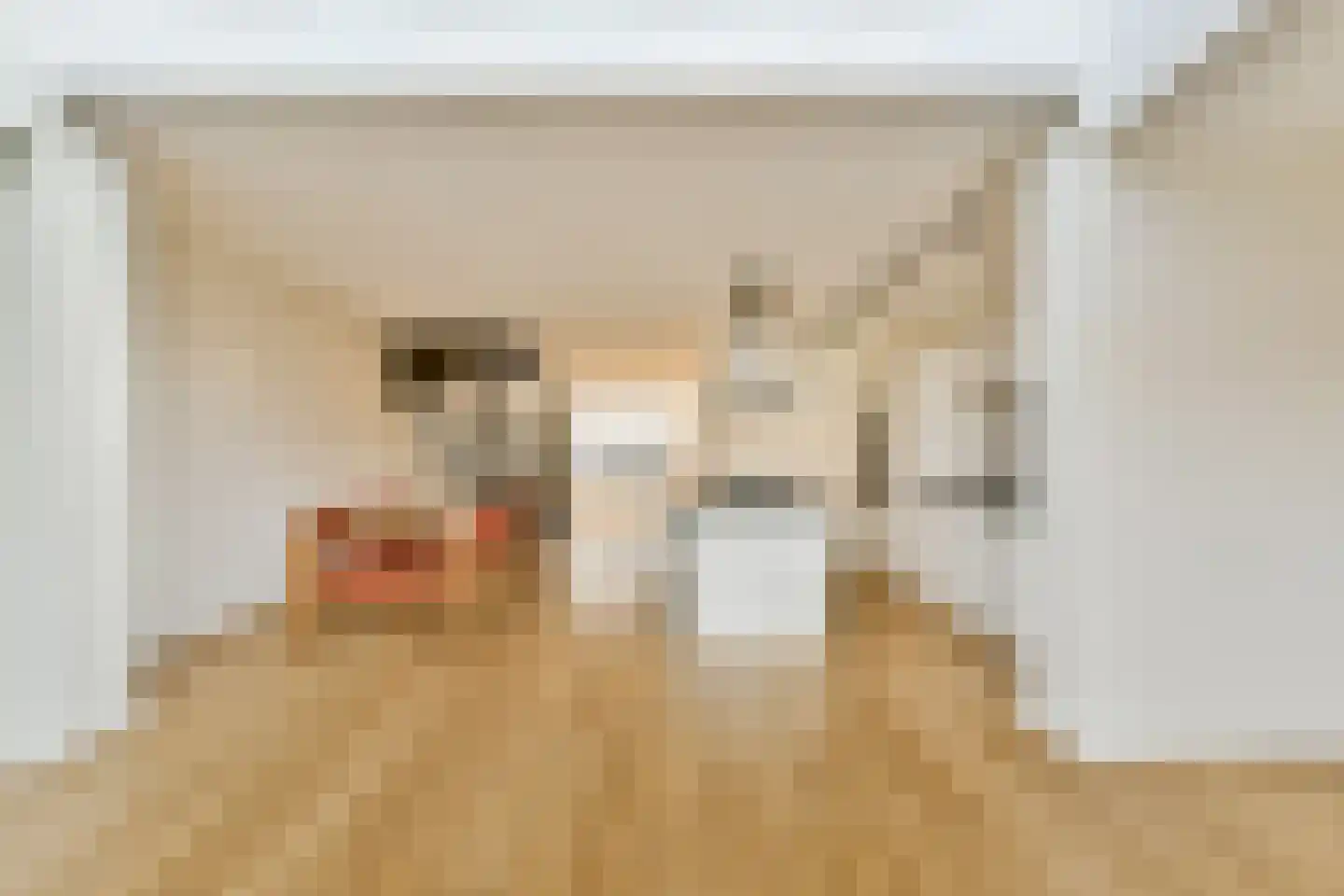 Liparishof 1 Badhoevedorp thumbnail 14