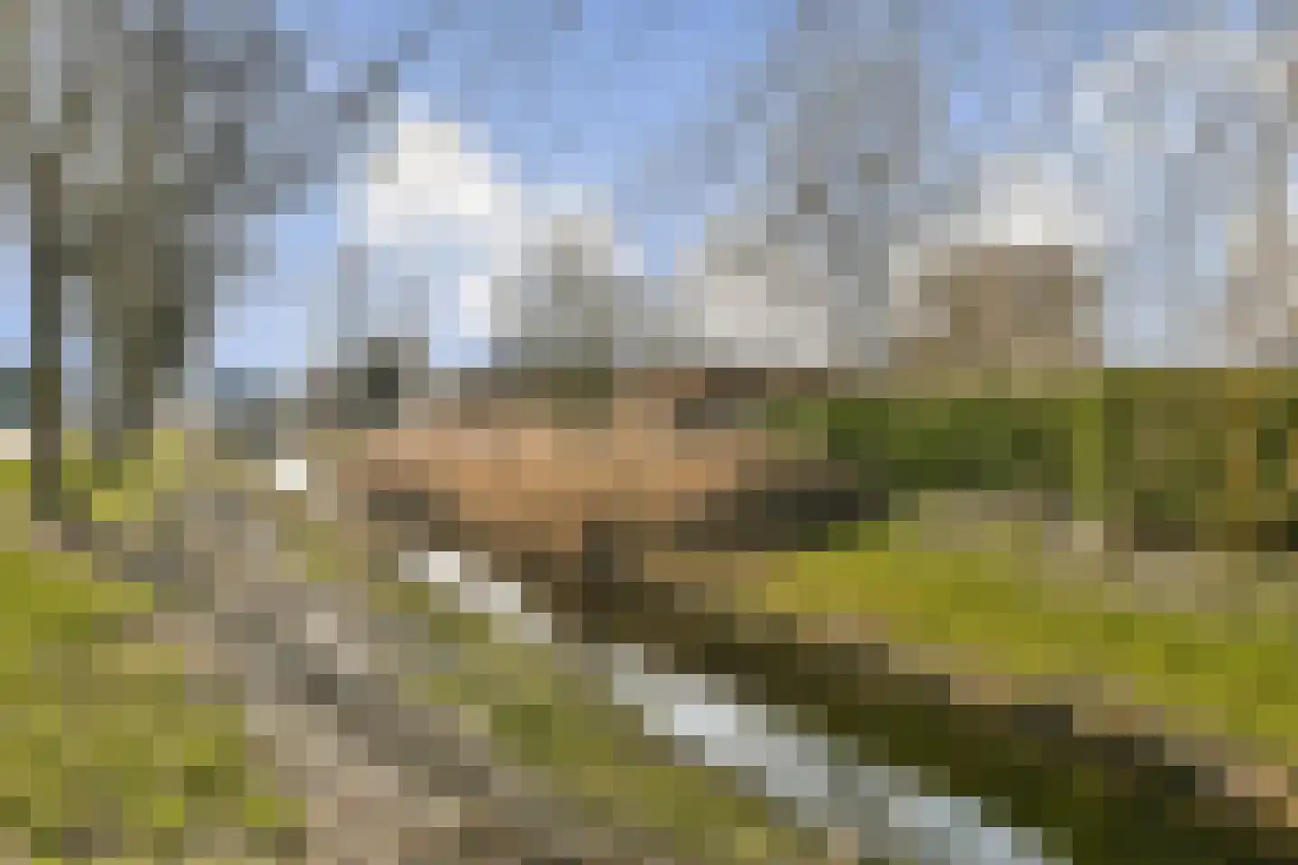 Liparishof 1 Badhoevedorp thumbnail 62