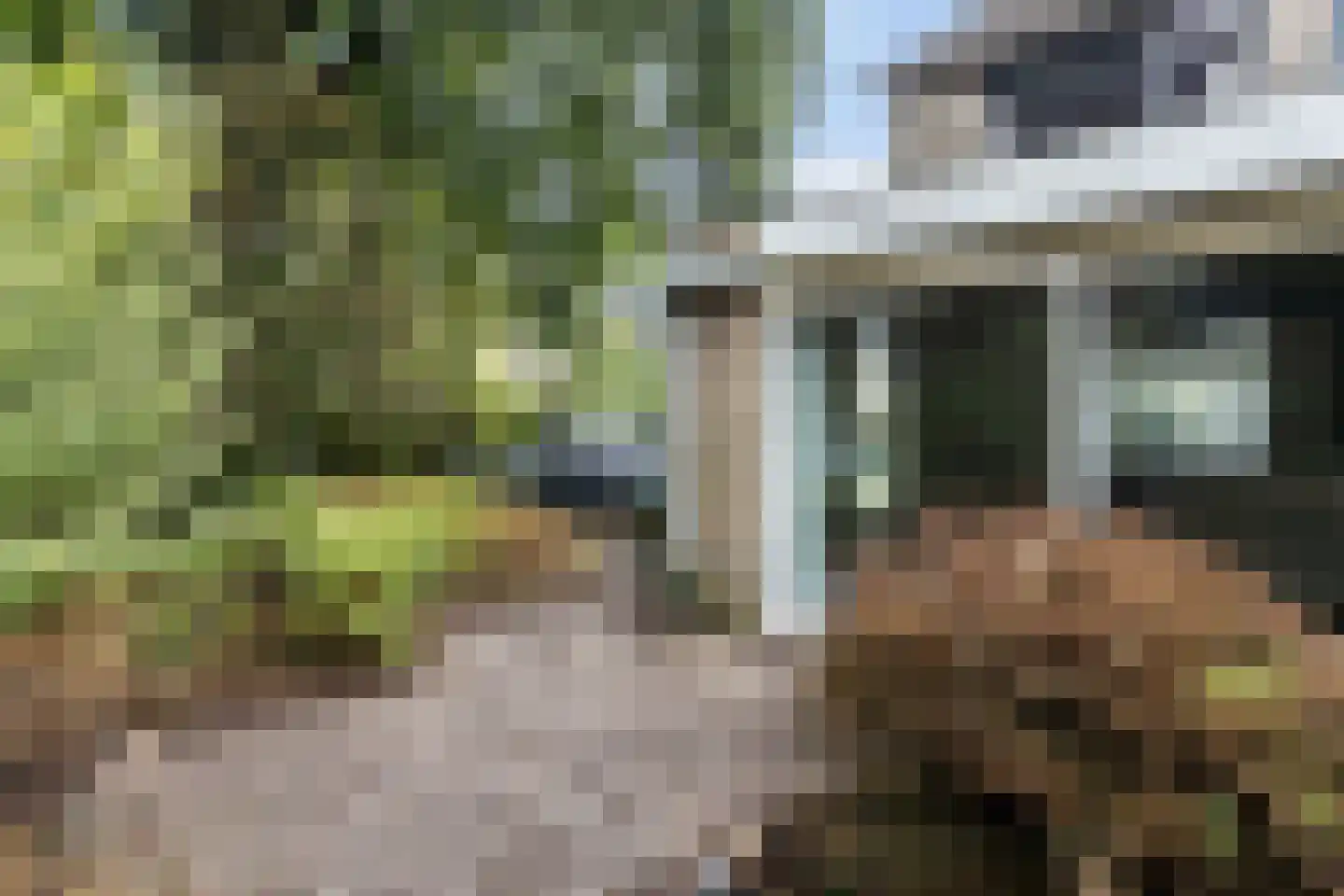 Lippe-Biesterfeldstraat 15 Apeldoorn thumbnail 15