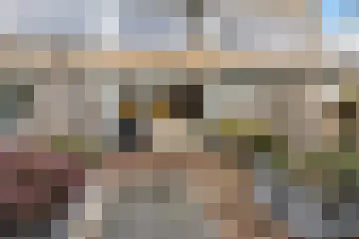 Lippe-Biesterfeldstraat 21 Zoetermeer thumbnail 11