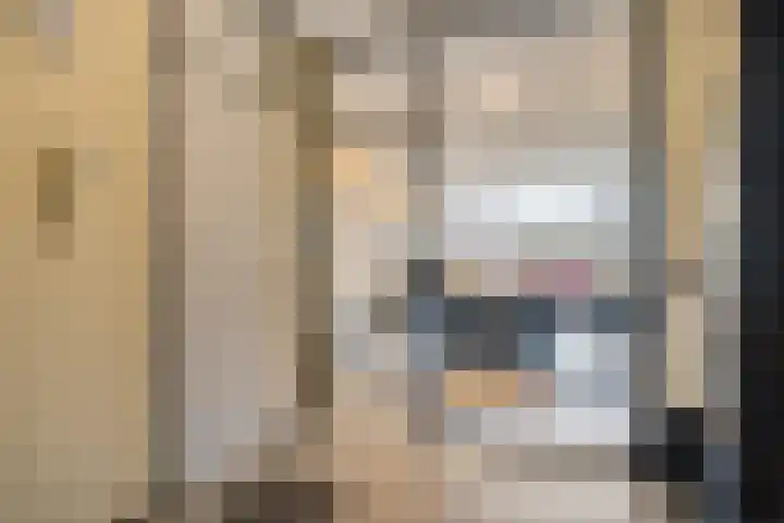 Lippe-Biesterfeldstraat 21 Zoetermeer thumbnail 14