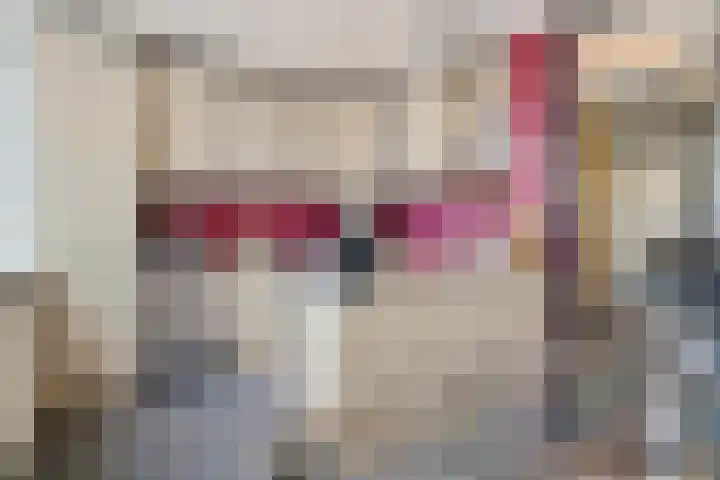 Lippe-Biesterfeldstraat 21 Zoetermeer thumbnail 22