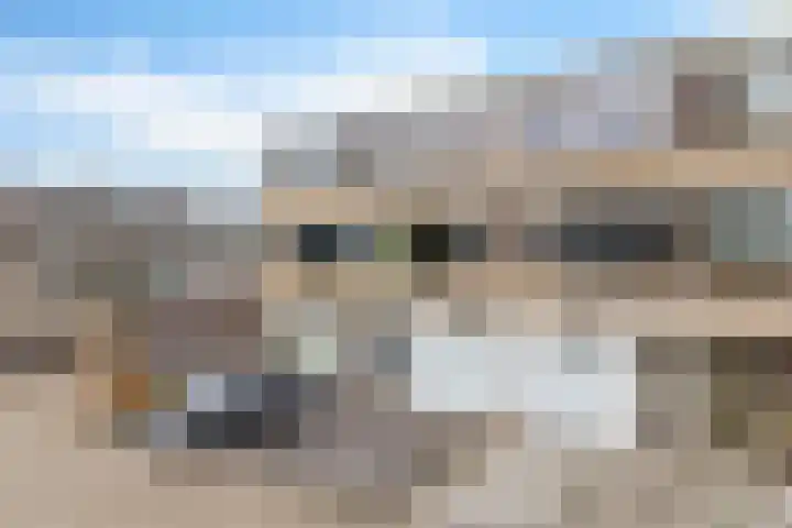 Lippe-Biesterfeldstraat 21 Zoetermeer thumbnail 43