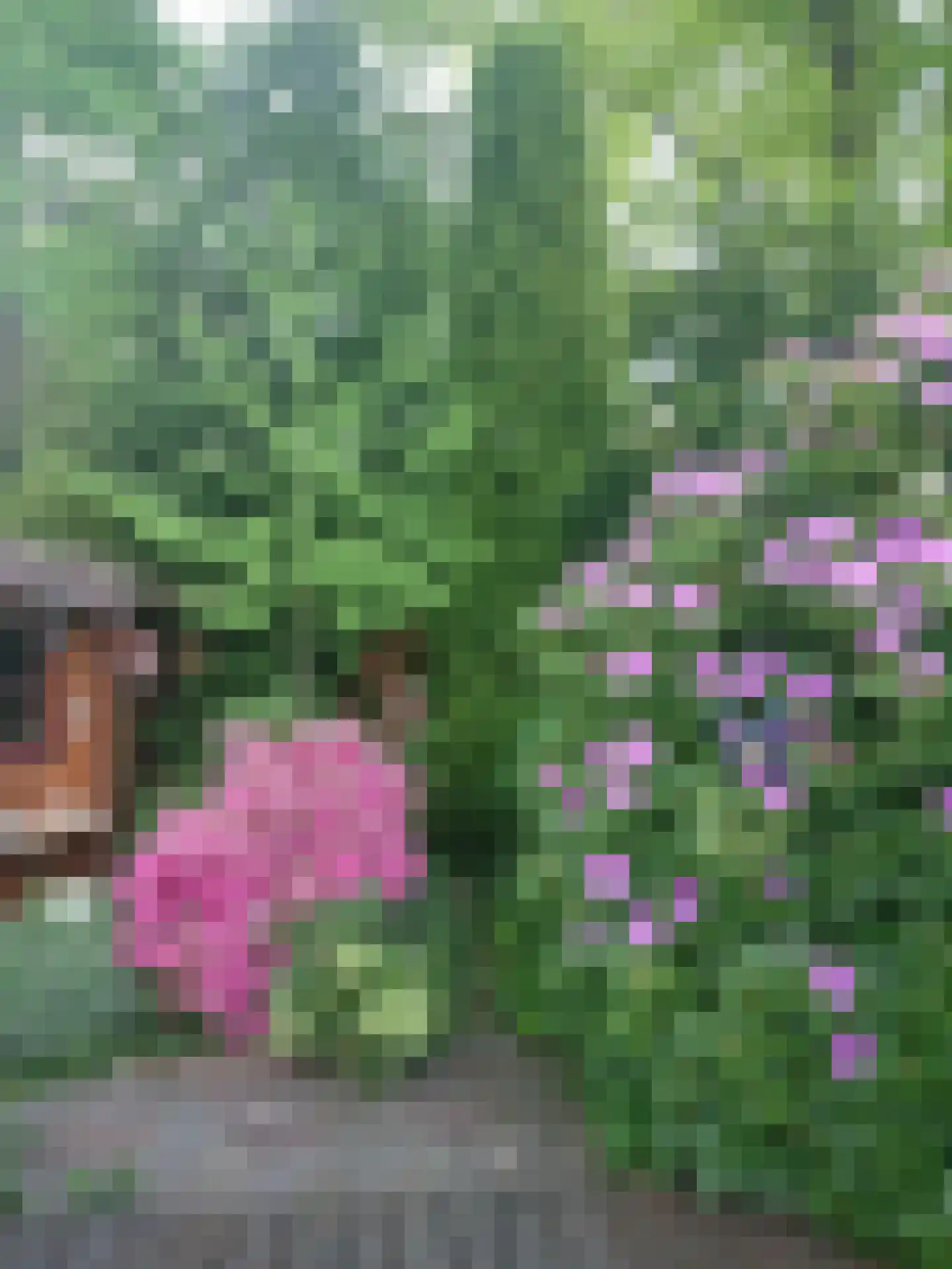 Lippe-Biesterfeldstraat 29 Apeldoorn thumbnail 36
