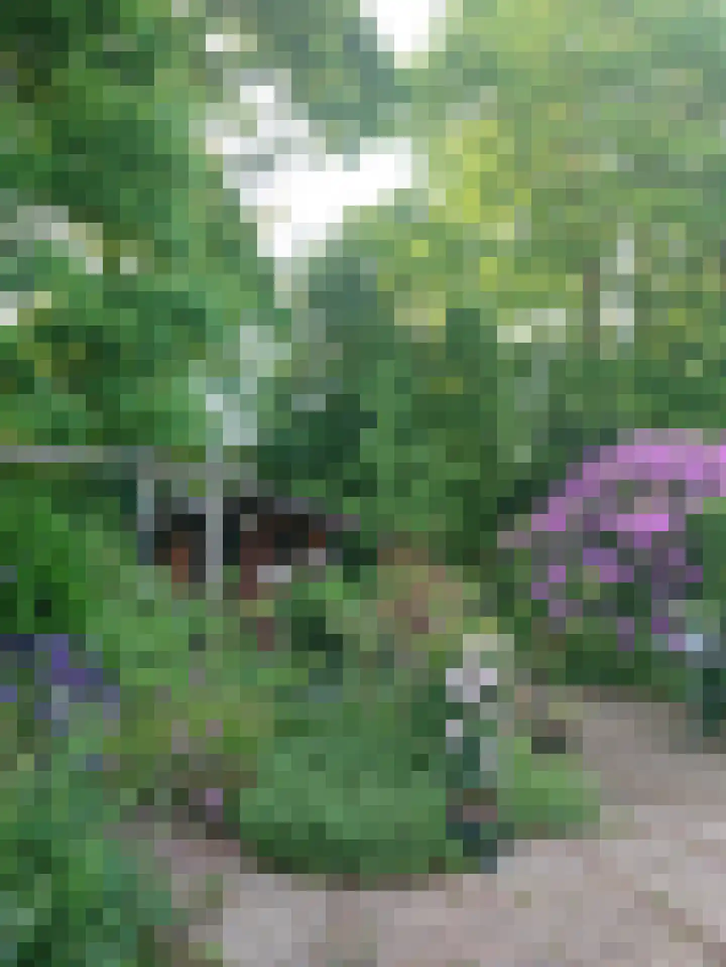 Lippe-Biesterfeldstraat 29 Apeldoorn thumbnail 37