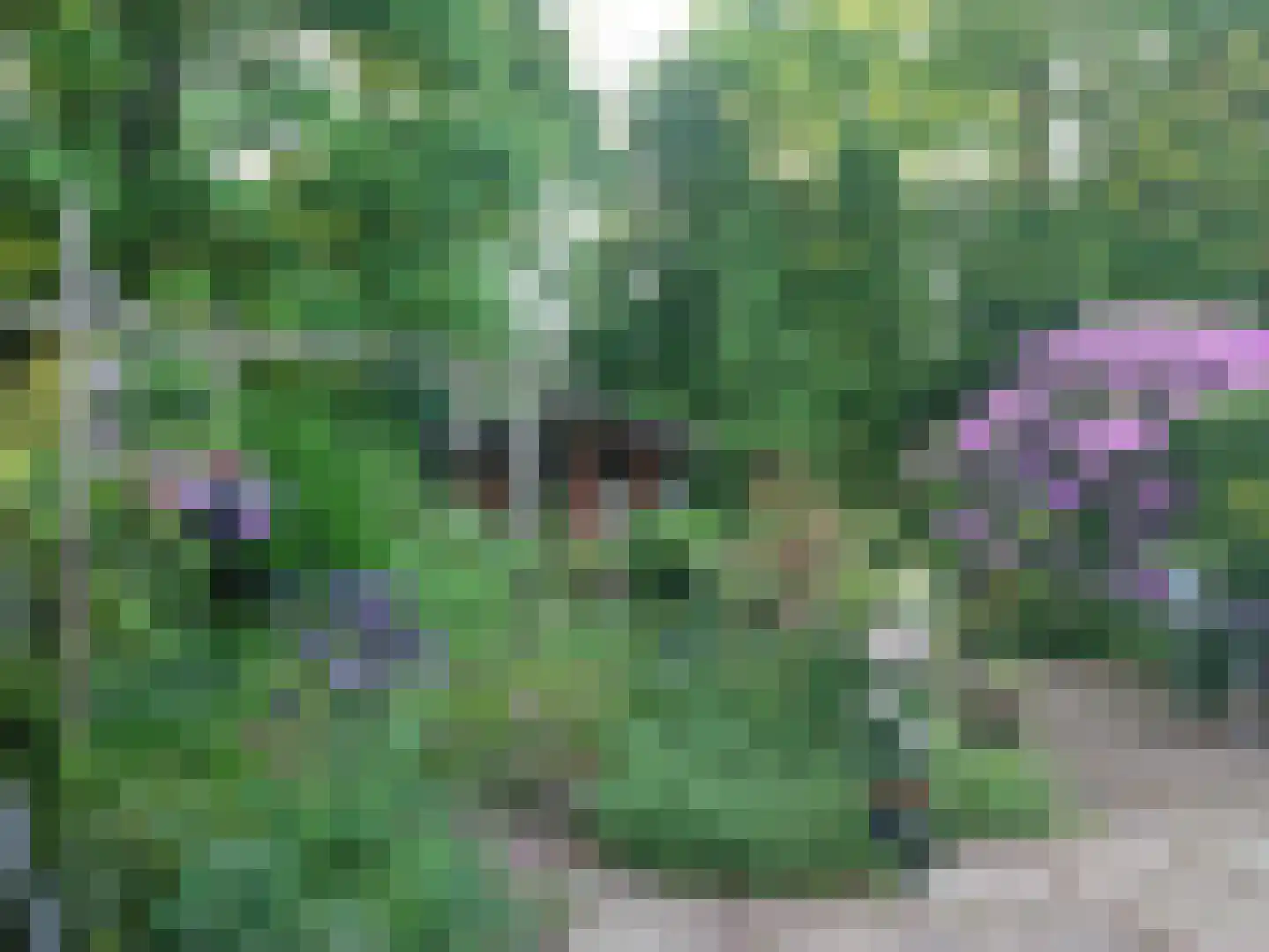 Lippe-Biesterfeldstraat 29 Apeldoorn thumbnail 38