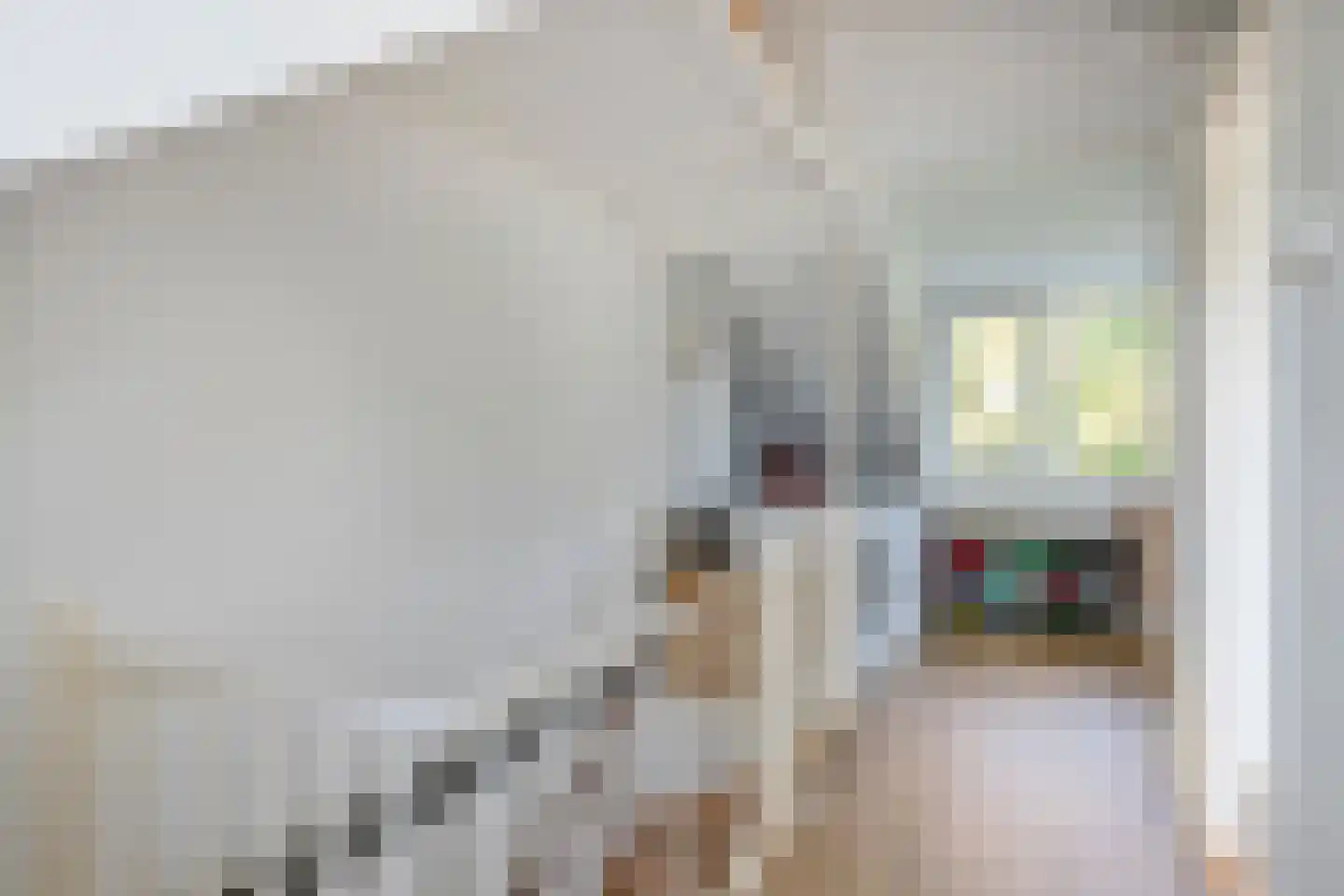 Lippe-Biesterfeldstraat 37 Apeldoorn thumbnail 35