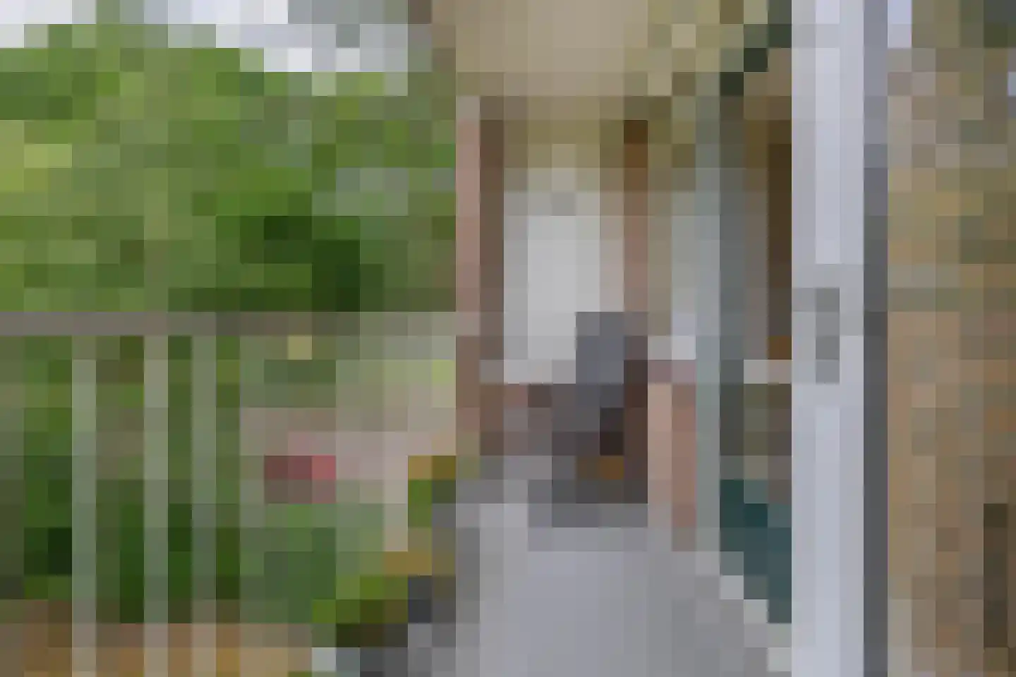 Lippe Biesterfeldstraat 39 3 Arnhem thumbnail 21