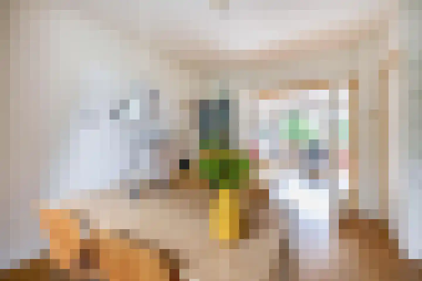 Lippe Biesterfeldstraat 39 3 Arnhem thumbnail 7