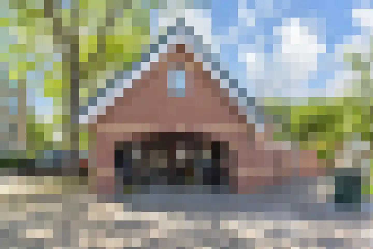 Lippe-Biesterfeldweg 1 Den Haag thumbnail 41