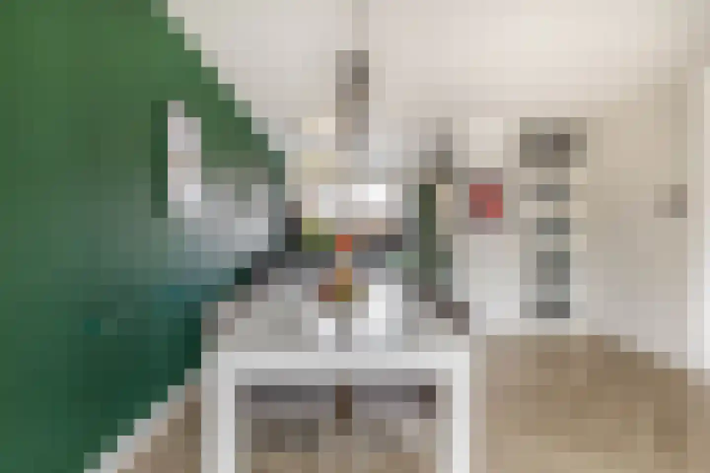 Lippedal 1 Capelle aan den IJssel thumbnail 16