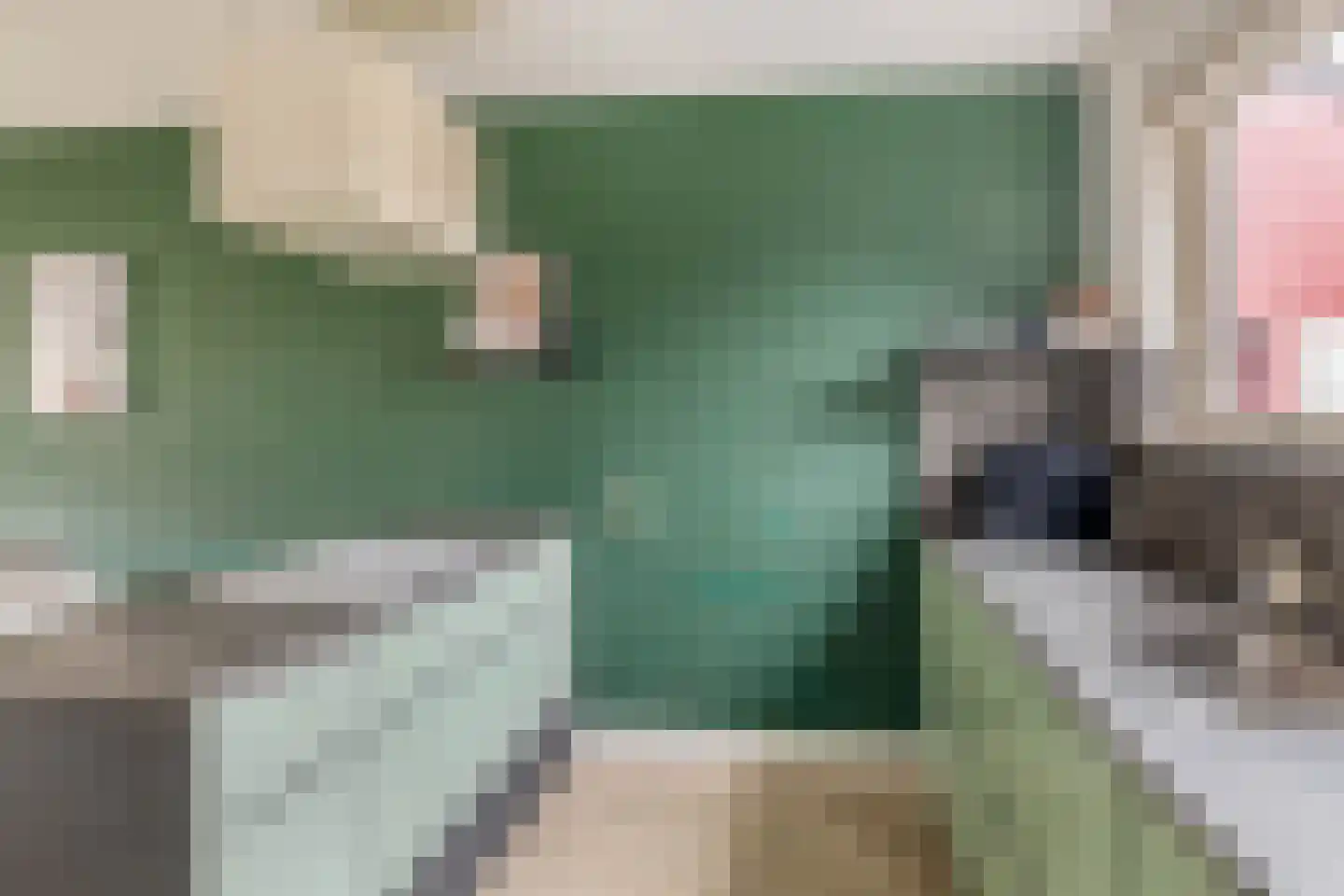 Lippedal 1 Capelle aan den IJssel thumbnail 18