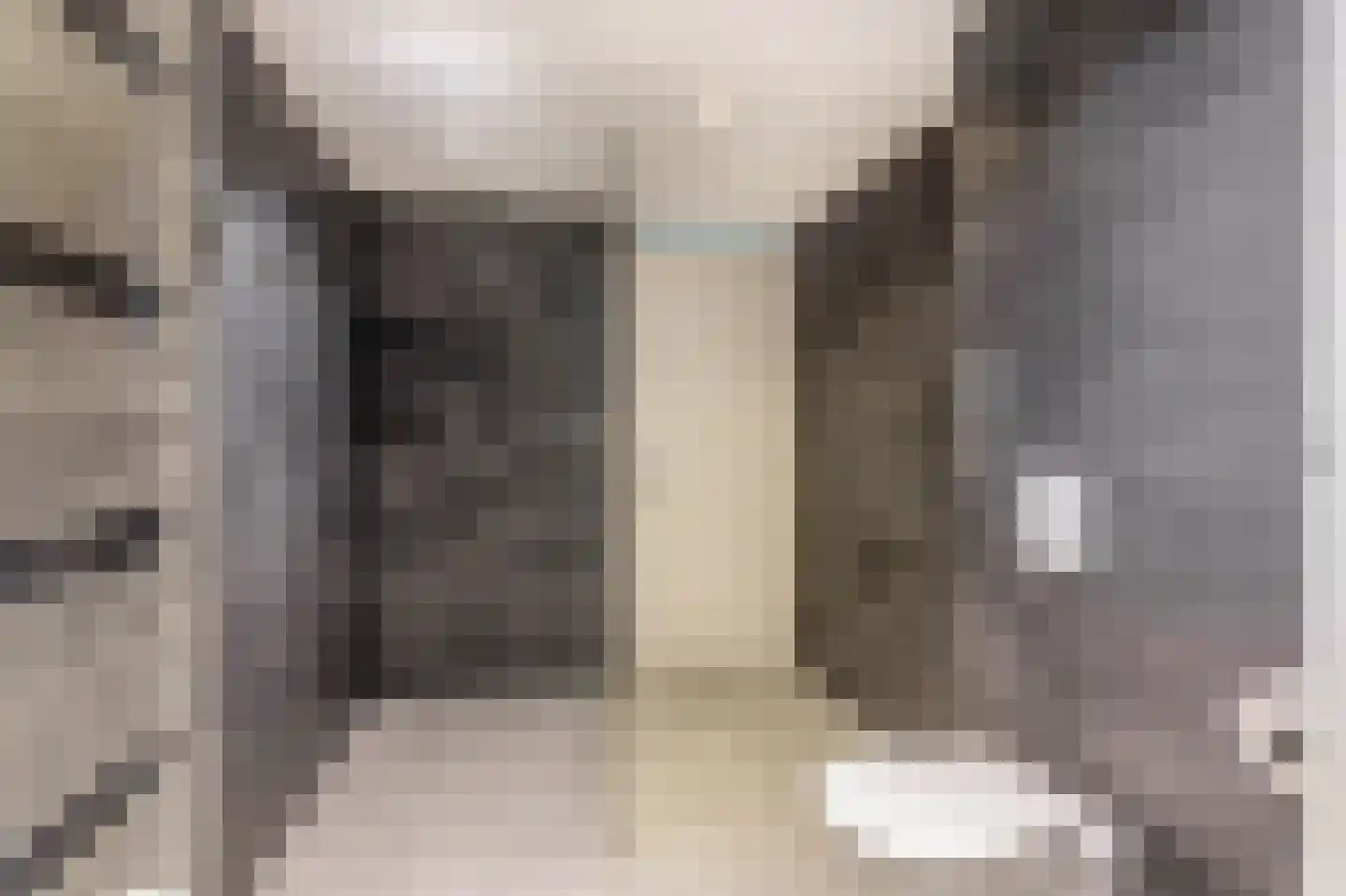 Lippedal 1 Capelle aan den IJssel thumbnail 24