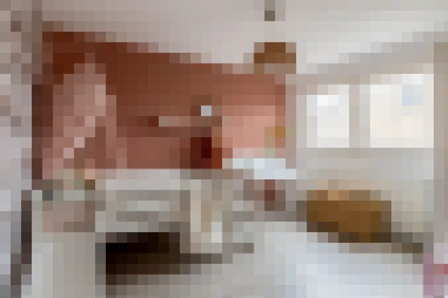 Lippedal 1 Capelle aan den IJssel thumbnail 25