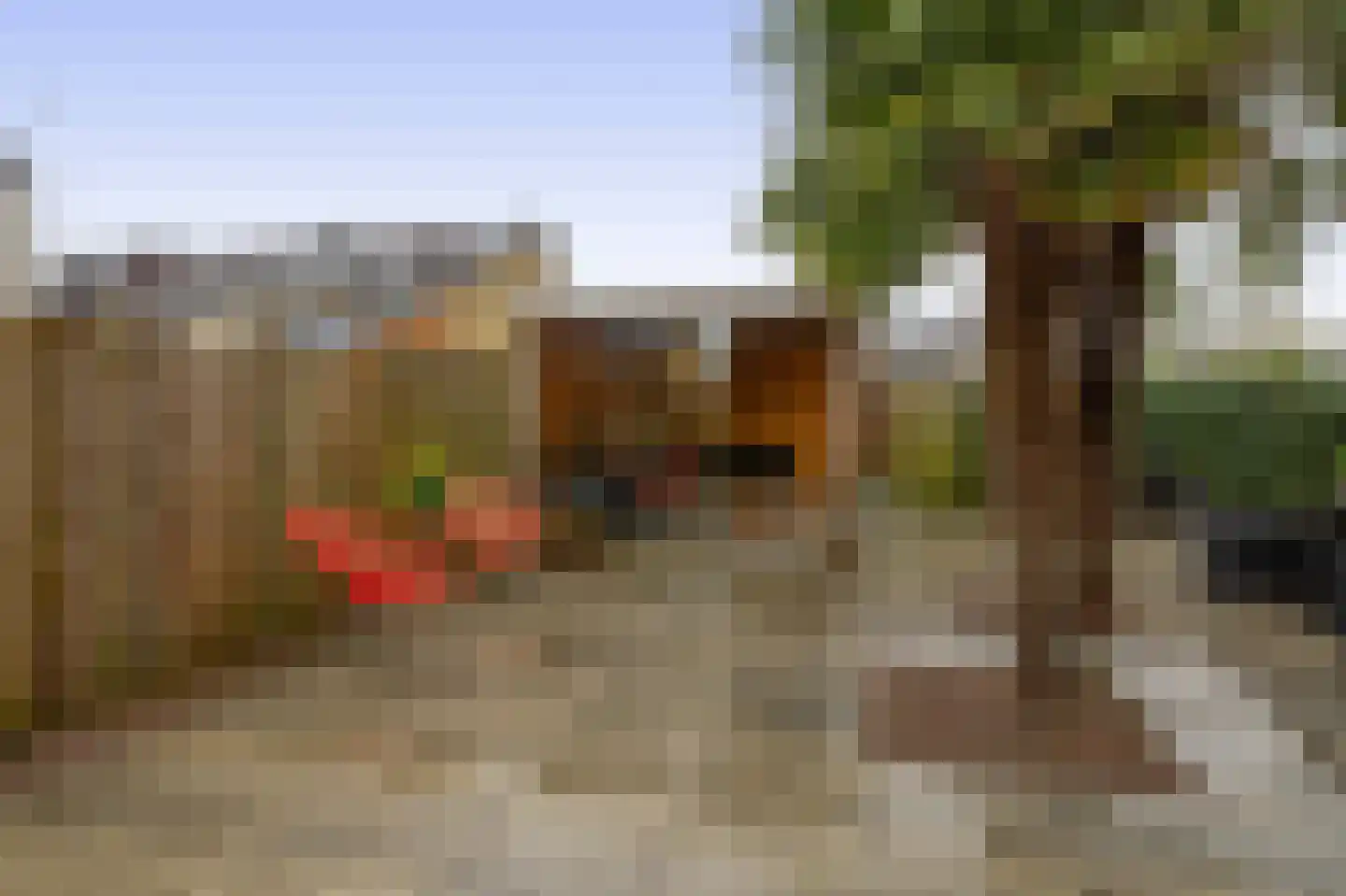Lippedal 1 Capelle aan den IJssel thumbnail 34