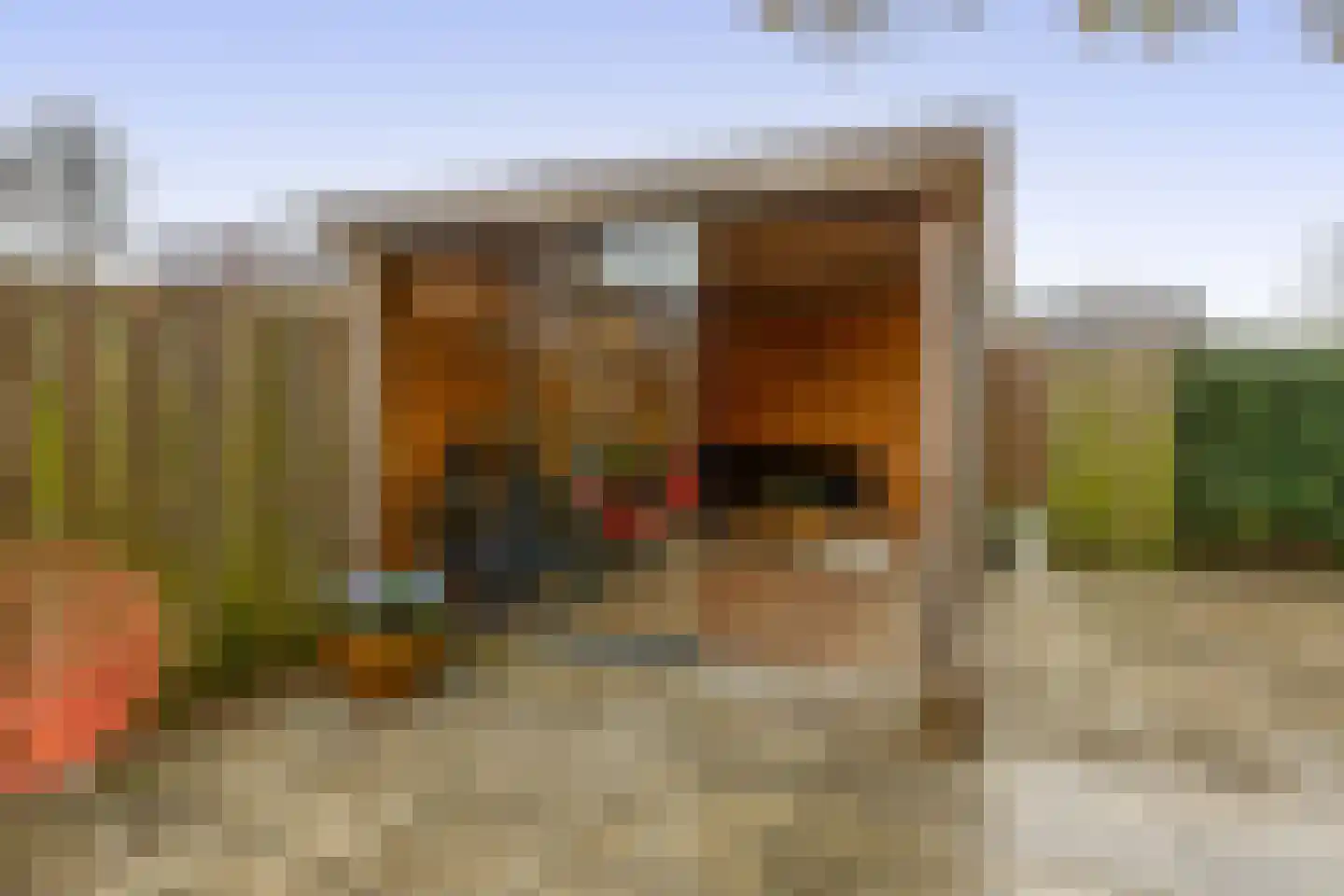 Lippedal 1 Capelle aan den IJssel thumbnail 35
