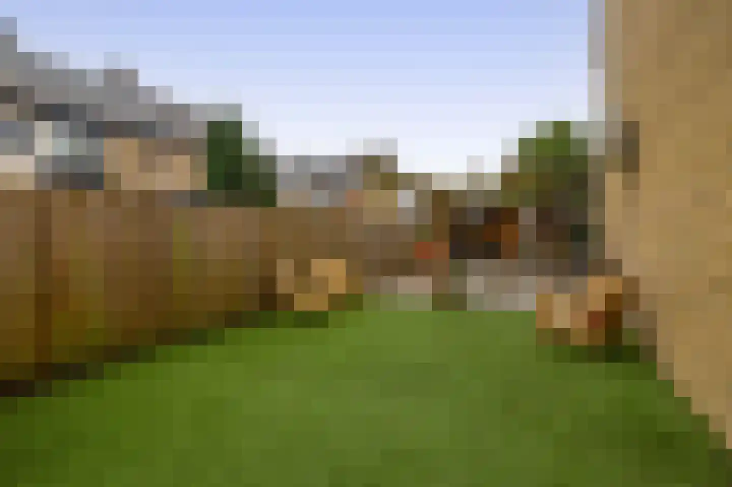 Lippedal 1 Capelle aan den IJssel thumbnail 37