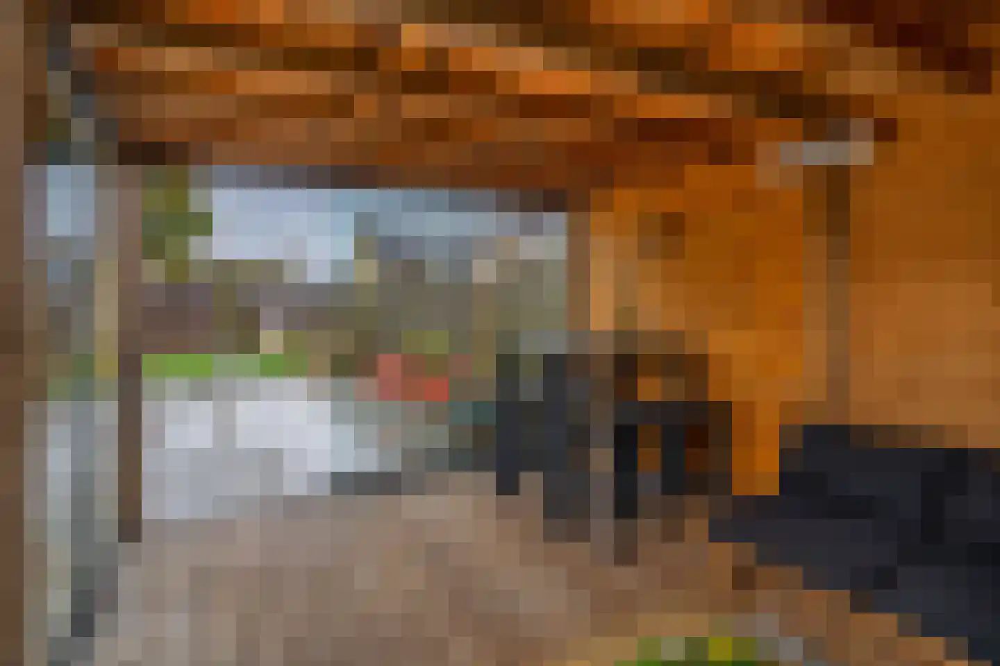 Lippedal 1 Capelle aan den IJssel thumbnail 38