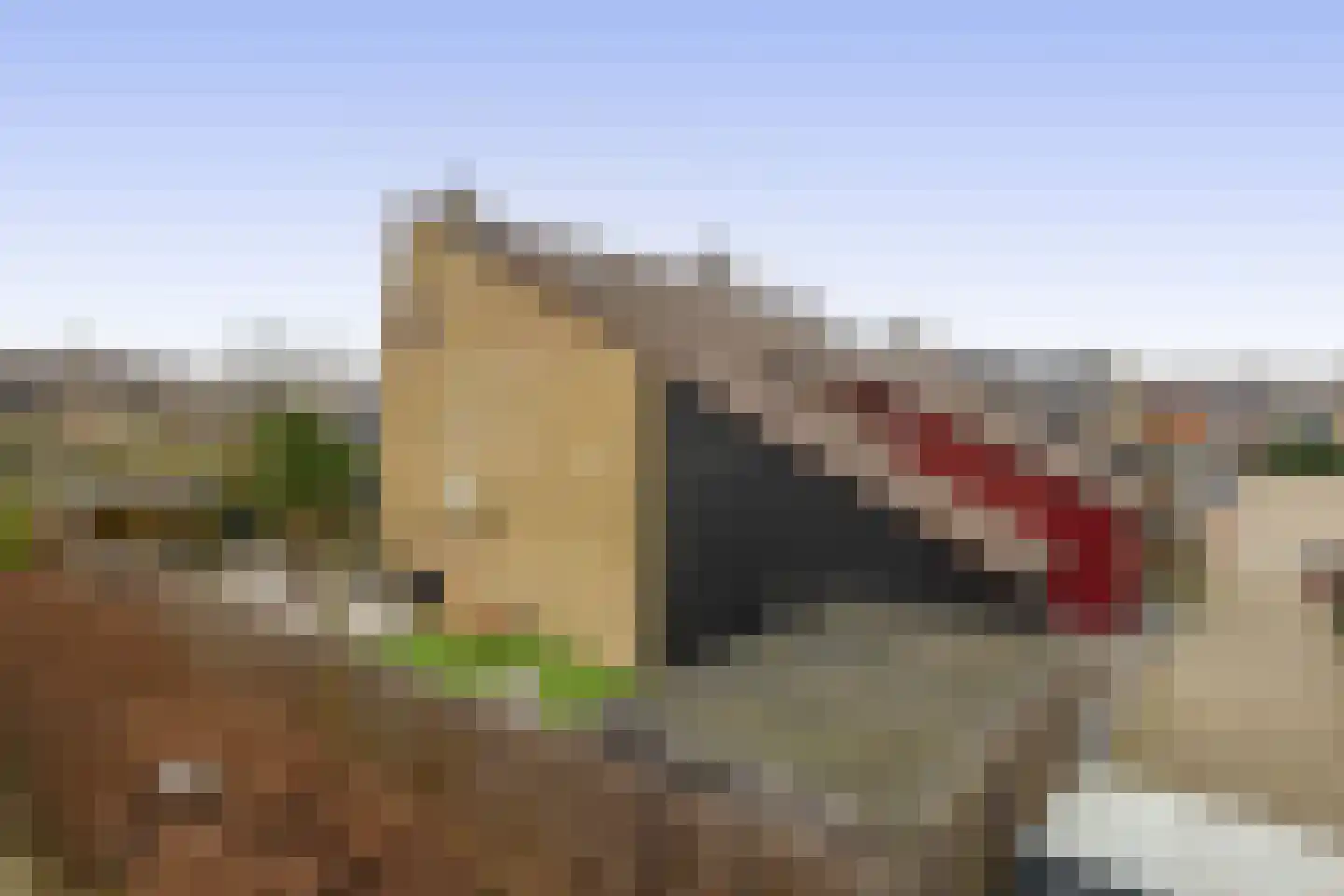 Lippedal 1 Capelle aan den IJssel thumbnail 42