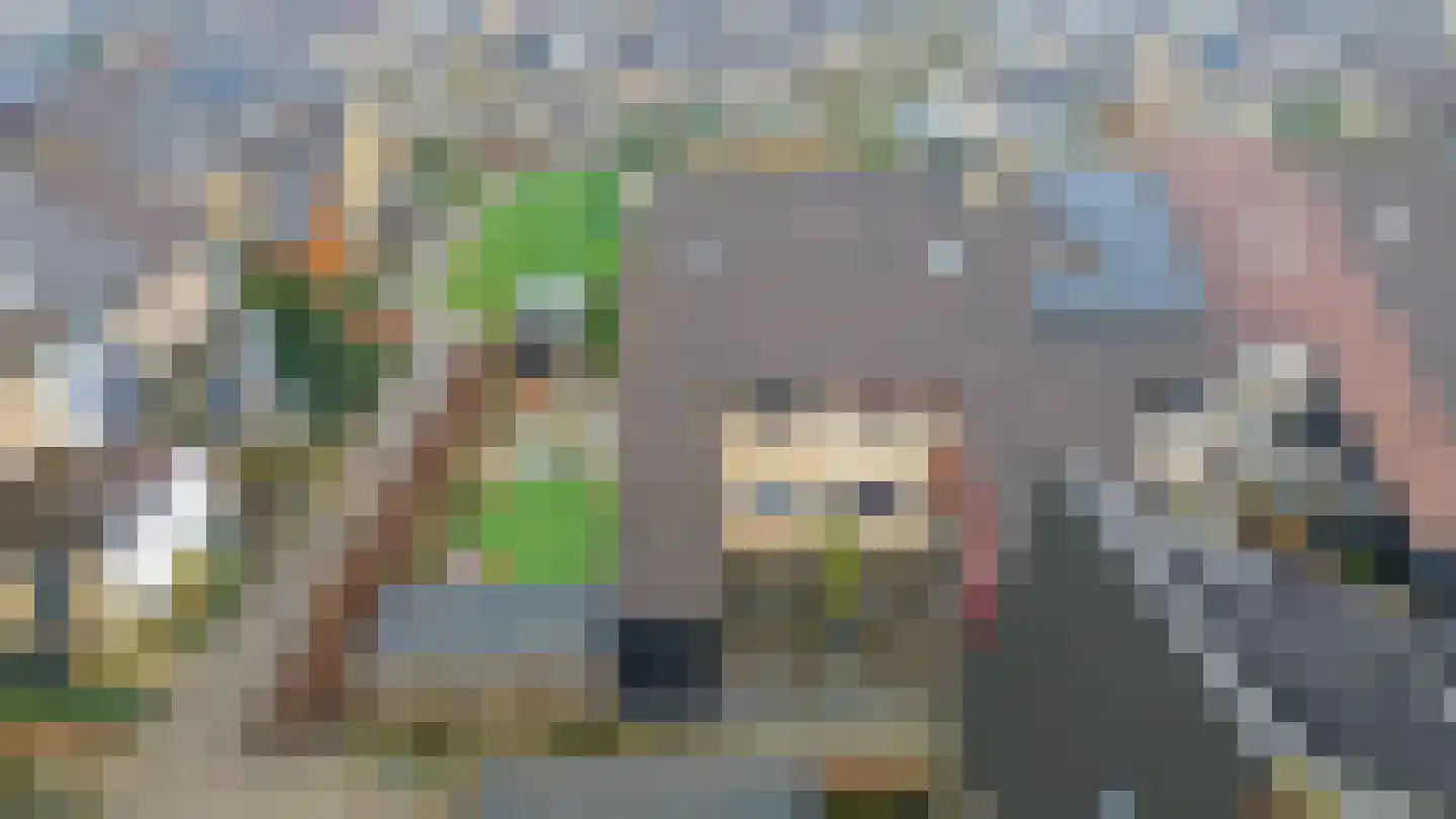 Lippedal 1 Capelle aan den IJssel thumbnail 44