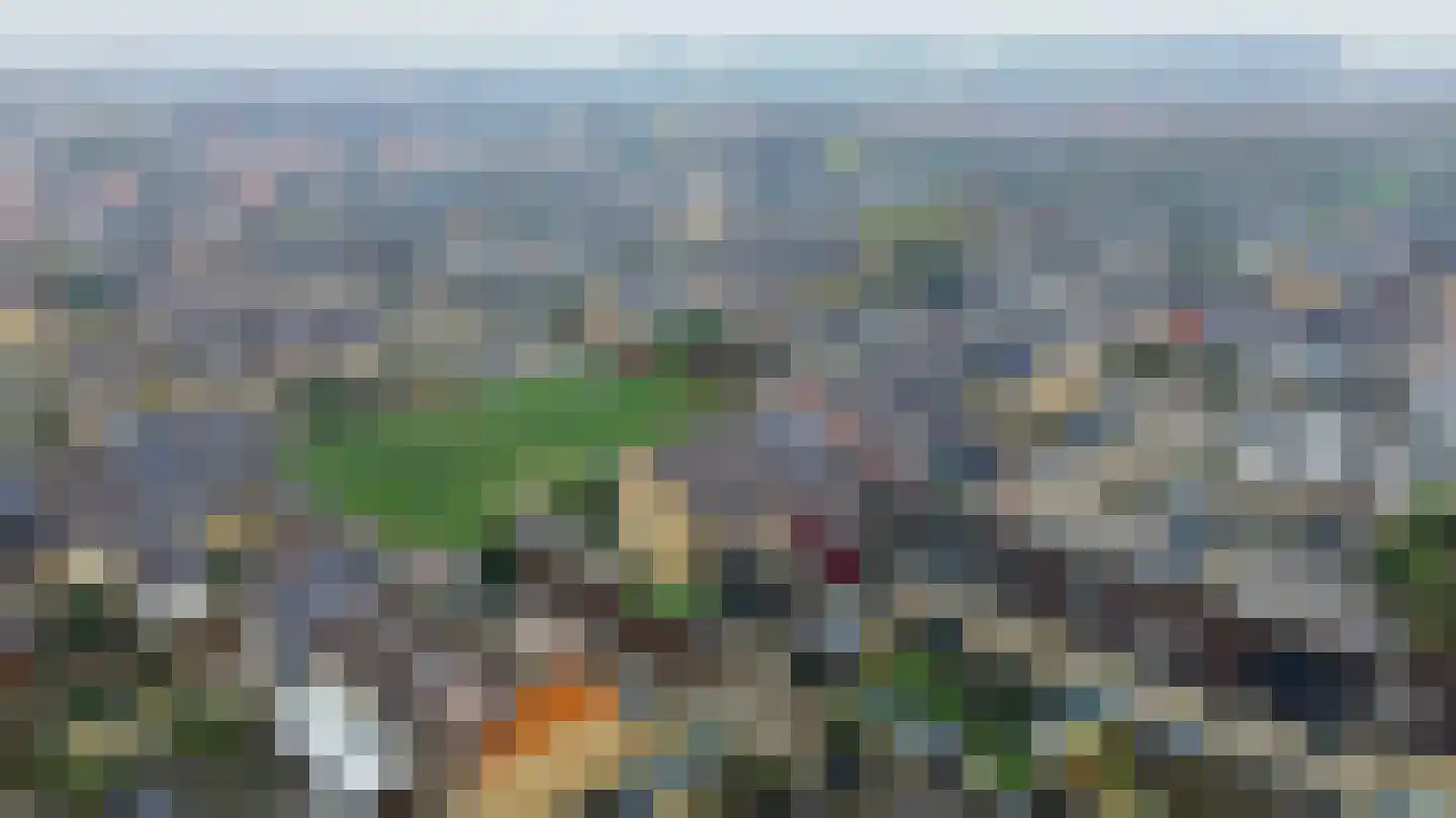 Lippedal 1 Capelle aan den IJssel thumbnail 48