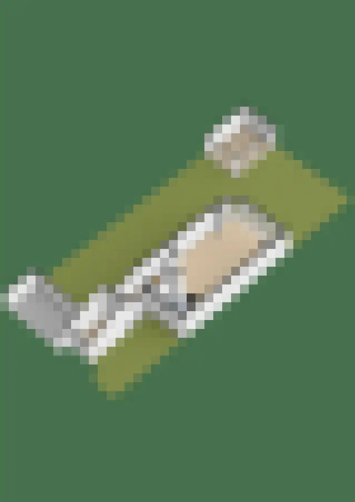 Lippedal 1 Capelle aan den IJssel thumbnail 52